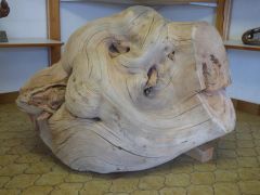 13-4860_P1030662-web