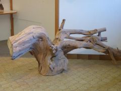 14-2160_P1030548-web