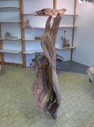 16-2690_P1030566-web