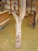 17-1840_P1030544-web